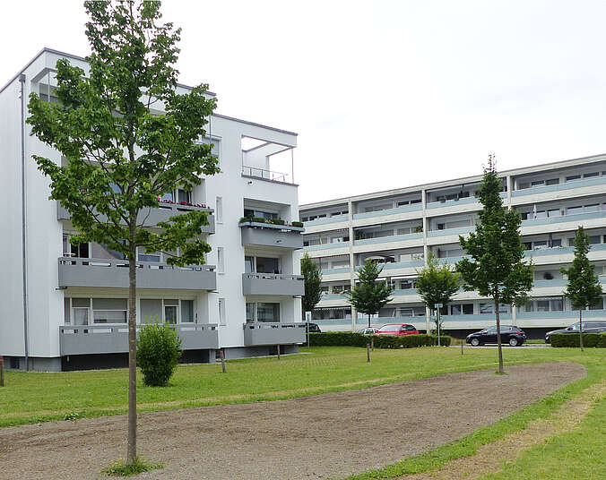 Bäume in Wohnanlage. (Foto: Stadt Friedrichshafen)